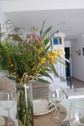 Duplex Avenida